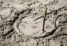 Palangos paplūdimyje ant kranto i&scaron;mestos medūzos