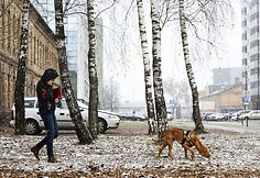Vilniečiai pro langą i&scaron;vydo pirmąsias snaiges