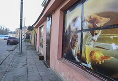 Baras Naujojoje Vilnioje Priekalo gatvėje