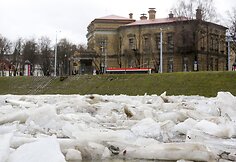 Ledonešis