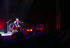Vidas Bareikis