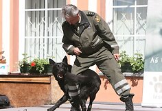 Gyvūnų mylėtojai bandė dar kartą atkreipti dėmesį į namų neturinčius augintinius