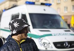 Balandžio 20-ąją &scaron;venčiama tarptautinė Kanapės diena
