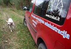 Nelaimingi keturkojai sulaukė žmonių pagalbos.