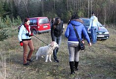 Nelaimingi keturkojai sulaukė žmonių pagalbos.