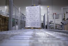 Į &bdquo;Alitos&ldquo; gamyklą investuota daugiau nei 6,5 mln. Eur.