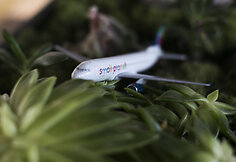 &bdquo;Small Planet Airlines&ldquo; žiemą Europoje nenaudojamus lėktuvus skraidina dirbti į Aziją