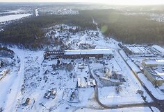Vilniaus romų taboras