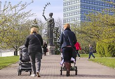 Vilniečiai su nekantrumu laukia sakurų žiedų sprogimo