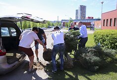 Vilniaus Šeškinės rajonas nuo šiol bus žalesnis