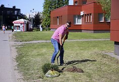 Vilniaus Šeškinės rajonas nuo šiol bus žalesnis
