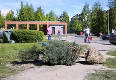 Vilniaus Šeškinės rajonas nuo šiol bus žalesnis