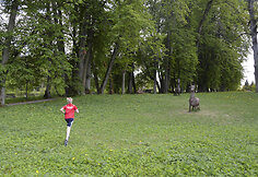 Pasaulinės orientavimosi sporto dienos karštligė