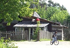 Romų tabore
