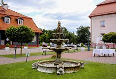 Ernestos Kalinauskaitės ir Roko Aurylos vestuvės