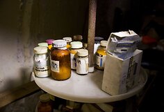 Sapiegos parke rasta medicininių ir cheminių medžiagų &bdquo;lobis&ldquo;