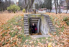 Sapiegos parke rasta medicininių ir cheminių medžiagų &bdquo;lobis&ldquo;