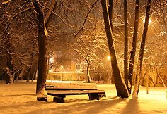 Sereikiškių parke ramybė