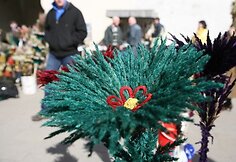 ... o gyvūnai – sveiki