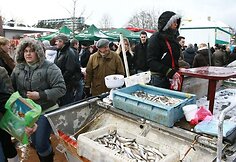 J.Basanavičiaus gatvėje buvo galima įsigyti ir &scaron;viežių stintų.