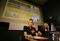 Kino mėgėjus jau ketvirtus metus i&scaron; eilės džiugins Tarptautinis moterų filmų festivalis &bdquo;&Scaron;er&scaron;ėliafam&ldquo;.Moterų režisierių ir apie moteris sukurti filmai &bdquo;Skalvijos&ldquo; kino centre Vilniuje bus rodomi kovo 6&ndash;15 d.