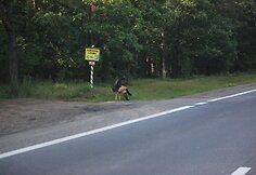 Vaizdai Lenkijos pakelėse