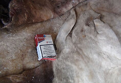 Sulaikyta cigarečių kontrabanda