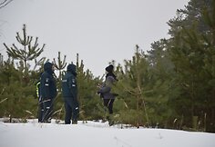 A.Remeikio kūnas rastas pušynėlyje, netoli nuo Kupiškio gatvėje esančios „Norfos“.