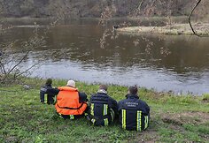 Briedžio gelbėjimo operacijos paspartinti nepavyko