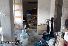 Bylos įkalčiai