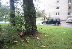 Klaipėdoje siautėjęs vėjas vartė medžius, tvoras, sutrikdė uosto darbą, apniokojo prekybos centrus.