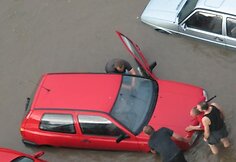 Liūtis Kaune, Baltų prospekte 