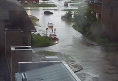 Liūtis Kaune, Baltų prospekte 