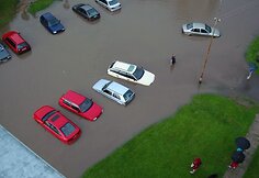 Liūtis Kaune, Baltų prospekte 