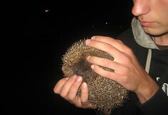 Kelionė dviračiu pajūryje