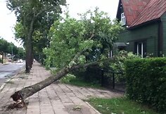 Palangoje, Žvejų gatvėje vėjas užvertė medį ant gyvenamojo namo.