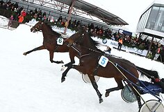 „Sartai 2011“ žirgų lenktynių akimirka