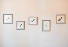 Restoranas &bdquo;Monai&ldquo;