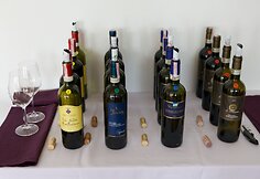 &bdquo;Vino Nobile di Montepulciano D.O.C.G. 2013&ldquo; degustacija