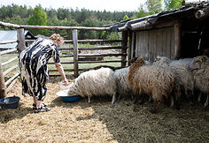 Dormantės namai