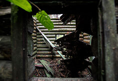 Prie vartų apgriuvęs sargo namelis