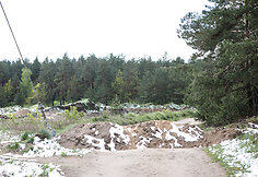 Smiltynų parkas ir jo prieigos