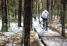 Smiltynų parkas ir jo prieigos