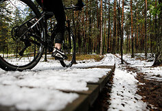 Smiltynų parkas ir jo prieigos