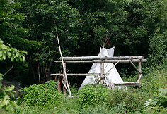 Tipis