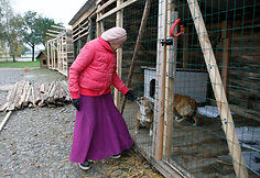Senjorė Ina