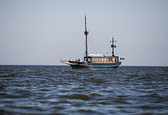 Laivai mariose
