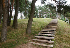 Bridvai&scaron;io piliakalnis Tytuvėnuose