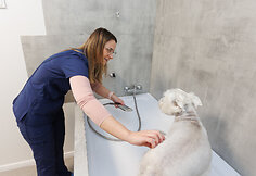 Veterinarijos centras