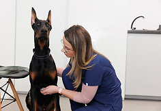 Veterinarijos centras